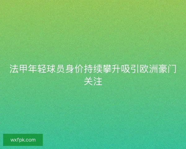 法甲年轻球员身价持续攀升吸引欧洲豪门关注